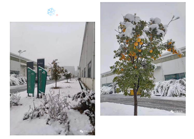 局部放電檢測儀，串聯(lián)諧振，SF6氣體檢漏儀